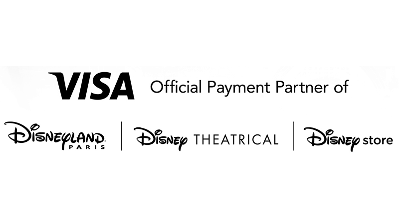 Visa Payment Partner logo